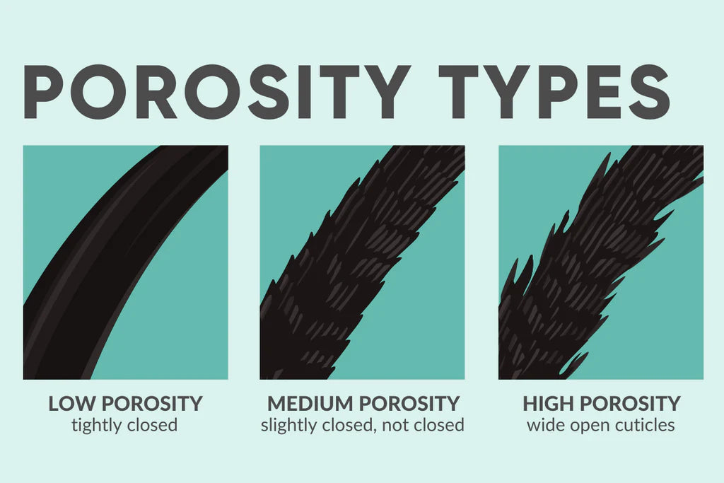 Let’s Talk Porosity: How to Build the Perfect Curl Care Routine Based on Your Hair's Needs